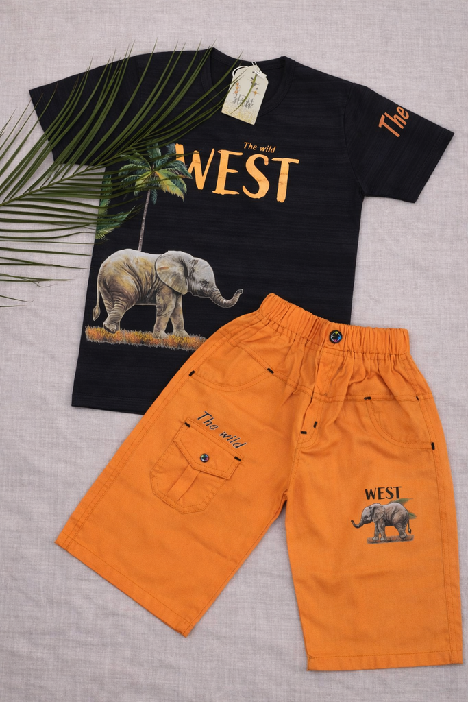 Wild Safari Boys Set